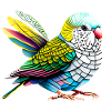 Cockatiel Budgie Bird Bird Owner