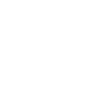 1981