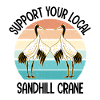 Watvogel Vogelbeobachtung Vogelbeobachter