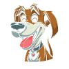 Dog Four-legged Friend Cute