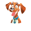 Dog Four-legged Cute