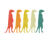 Meerkat Animal Erdmann