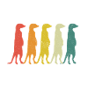 Meerkat Animal Erdmann