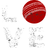 Cricket-Liebe