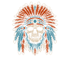 Indigenous Skull Skull