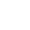 Indigenous Skull Skull