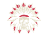 Indigenous Skull Skull