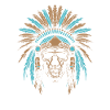 Indigenous Skull Skull