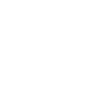 Indigenous Skull Skull