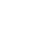 Indigenous Skull Skull