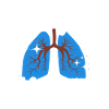 Respiratory Therapist Lung Breathing