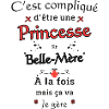Princesse et Belle Mère