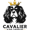 Noble Cavalier King Charles - Majestic Graphics