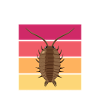 Rollassel
