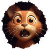 Terrified Cat