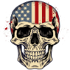 Skull with American flag
