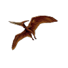 Drawing of Pteranodon