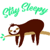 Sloth Stay Sleepy 01