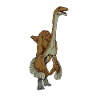 Drawing of Gallimimus