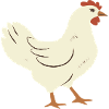 Hen