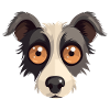 Hund Dog