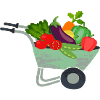 Vegetable Cart