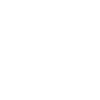 Levin d’or