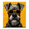 Schnauzer Cool - Chien Schnauzer