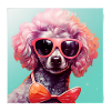 Caniche Cool - Caniche Chien