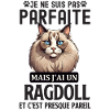 Chat RAGDOLL