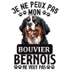 Chien de race bouvier bernois
