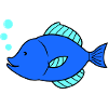 Fish Comic
