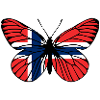 Butterfly Norway
