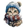 Cat in winter
