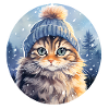 Cat in winter