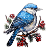 Oiseau d’hiver