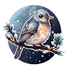Cute bird in winter