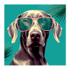 Weimaraner Cool - Weimaraner Dog