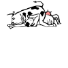 Ju-Jitsu Vache Jiu-Jitsu Brésilien BJJ