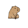 Prairie dog
