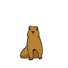 Prairie dog