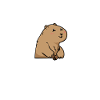 Prairie dog