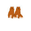 Prairie dog