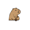 Prairie dog