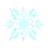 Snowflake White Skirt Christmas