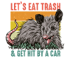 Opossum Possum Animal