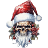 Skull with Santa hat