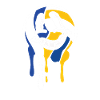 Volleyball Volleyballer