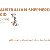 Dog Aussie Kid Definition