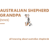 Dog Aussie Grandpa Definition